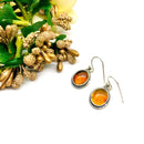 Amber Earrings in Silver