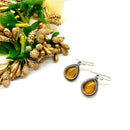 Amber Earrings in Silver