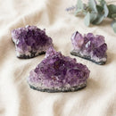 Natural Amethyst Clusters in AAA Quality (Option Wise)