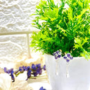 Amethyst Silver Earrings