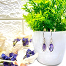 Amethyst Silver Earrings