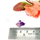 Small Amethyst Scepters (Access ancient wisdom)