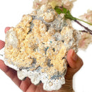 Special Amethyst Cluster Formations from Brazil (Meditation & Calmness)