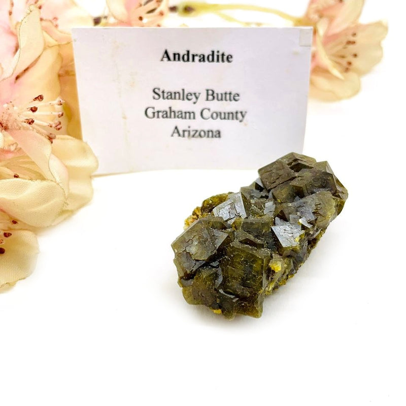 Andradite Garnet Mineral (Arizona, USA)