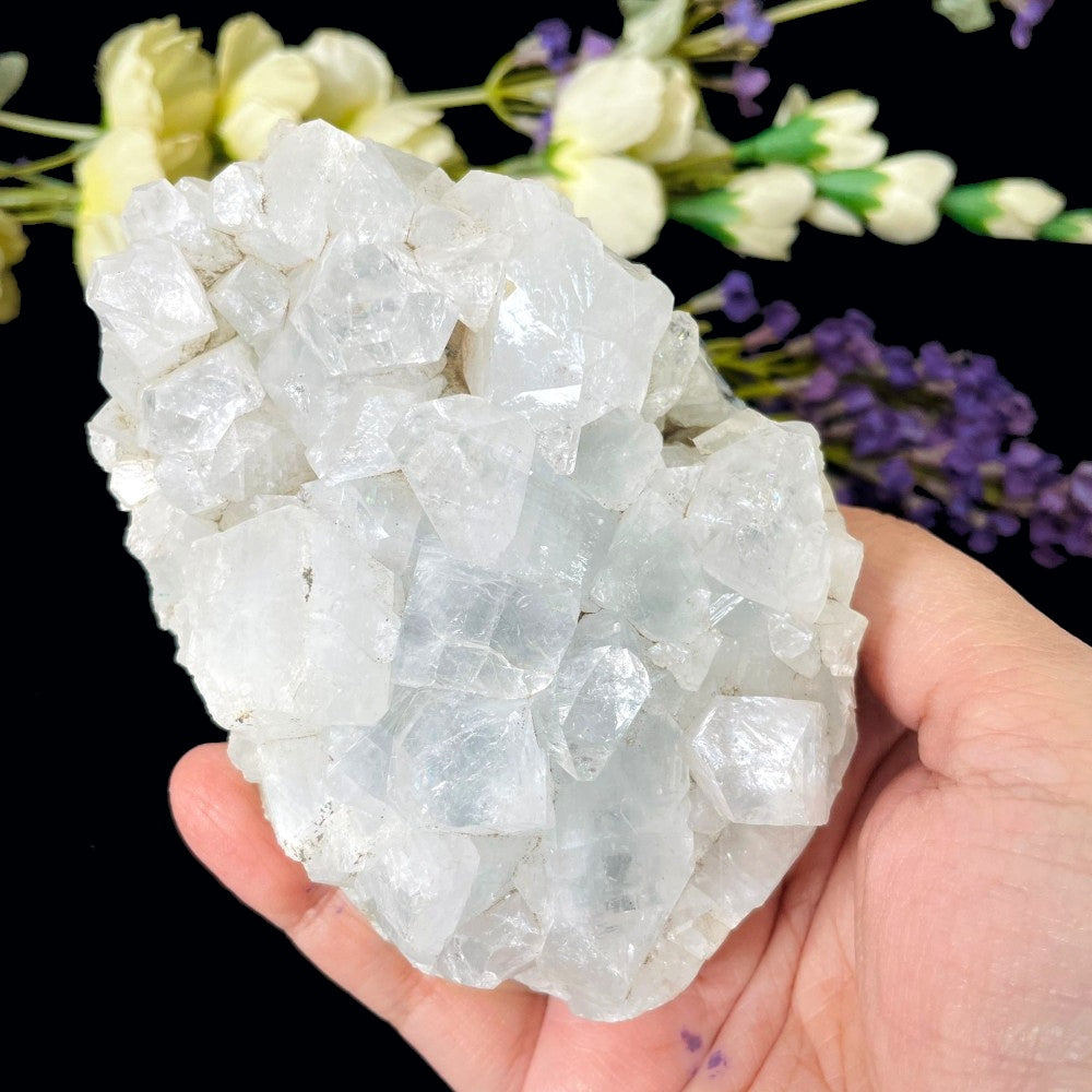 Apophyllite Clusters in Gift Box with ID Card (9pc) NETT Apophyllite Clusters in Gift Box with ID Card (9pc) NETT