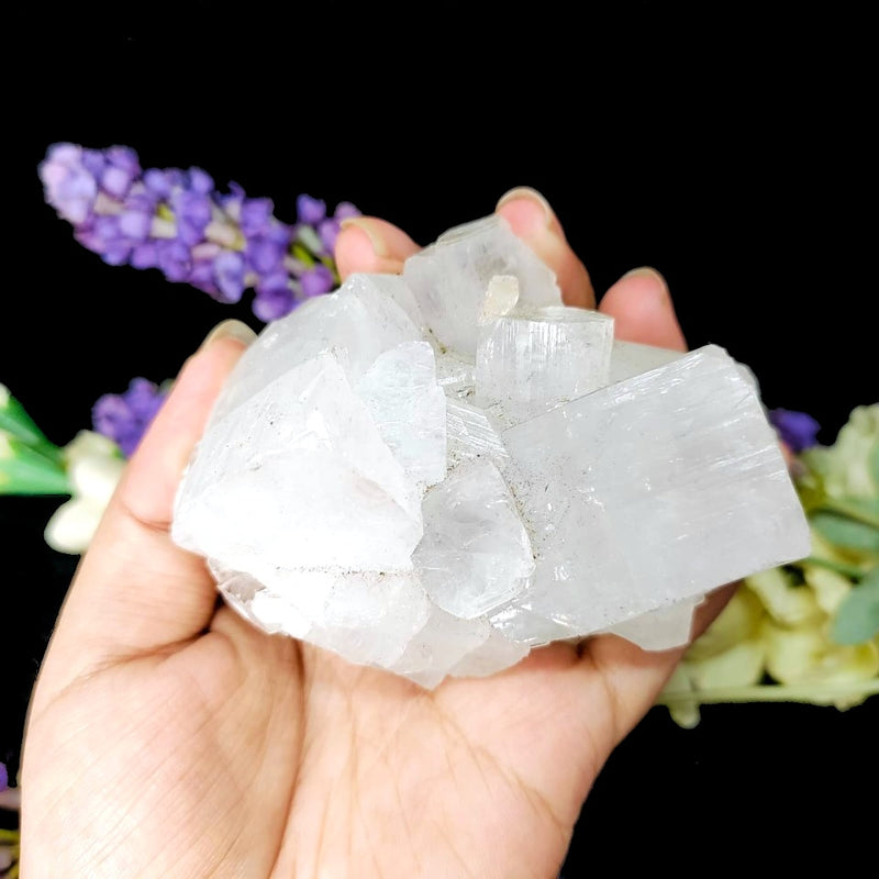 Apophyllite Cluster (Spiritual Healing)