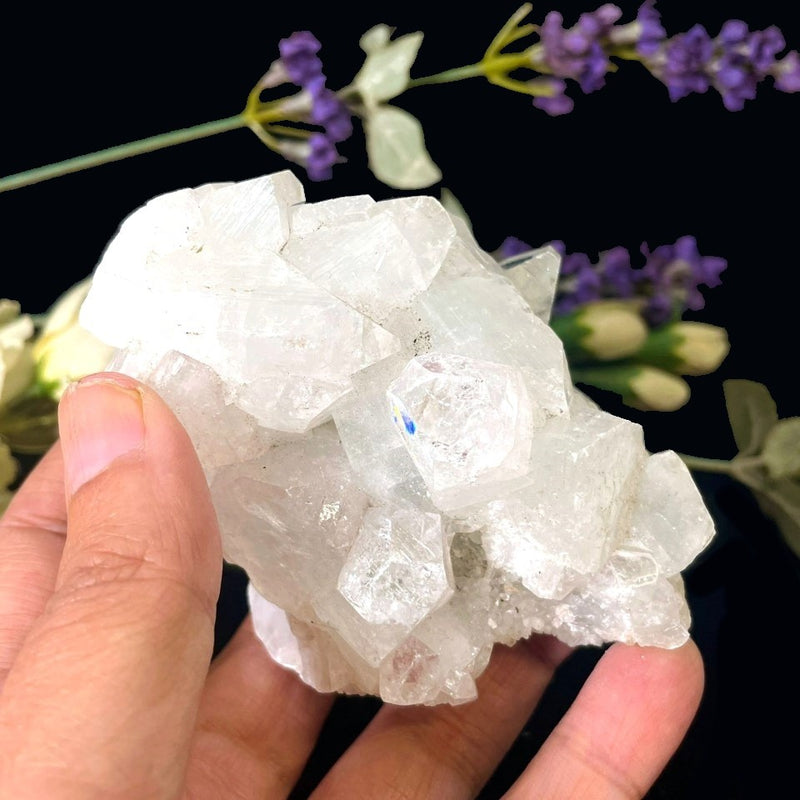 Apophyllite Cluster (Spiritual Healing)