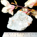 Apophyllite Cluster (Spiritual Healing)