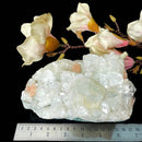Apophyllite Cluster (Spiritual Healing)