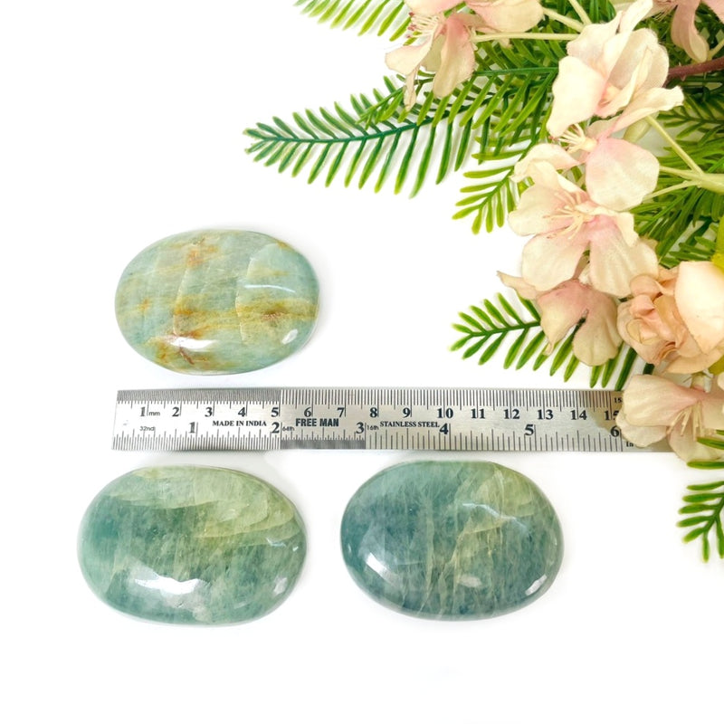 Aquamarine Palmstone (Clear Vision and Communication)