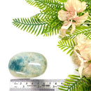 Aquamarine Palmstone (Clear Vision and Communication)