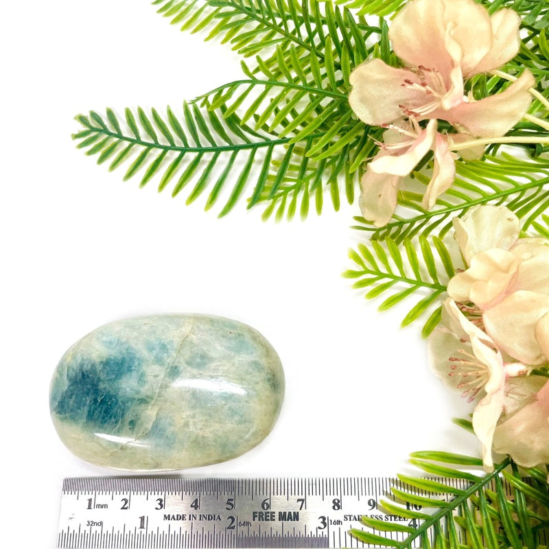 Aquamarine Palmstone (Clear Vision and Communication)