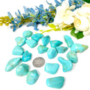 Arizona Turquoise Tumble (Communication and Psychic Powers)