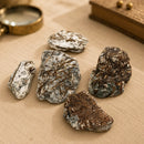 Premium Astrophyllite Rough Natural Crystal for Self-Discovery, Spiritual Growth and Inner Transformation by Talk To Crystals