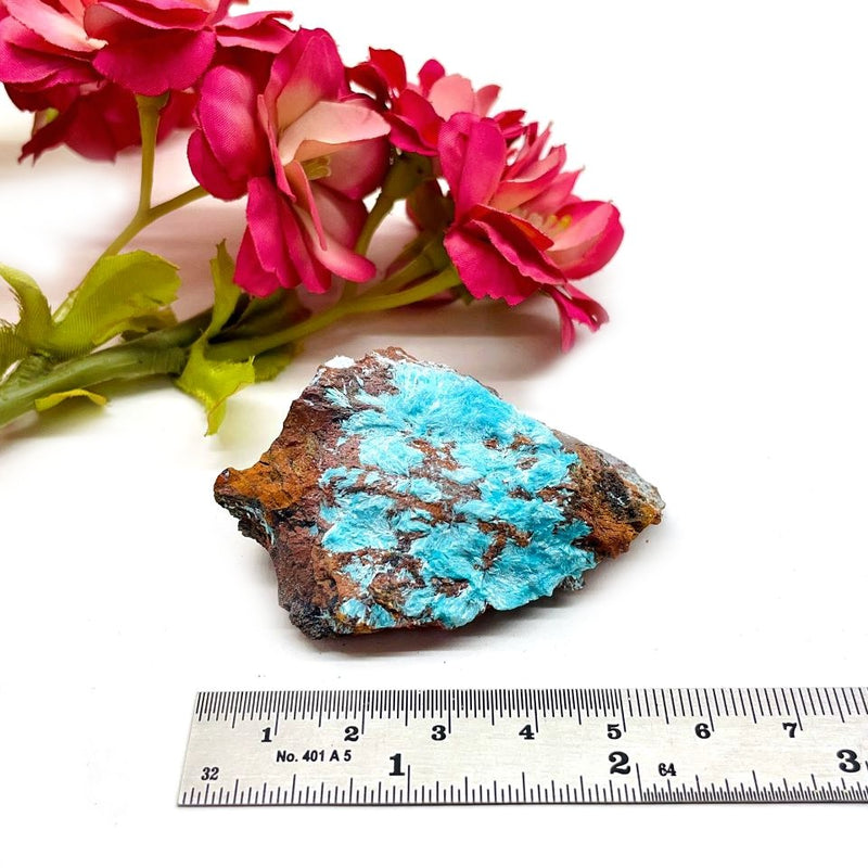 Aurichalcite Mineral Specimen (Utah, USA)