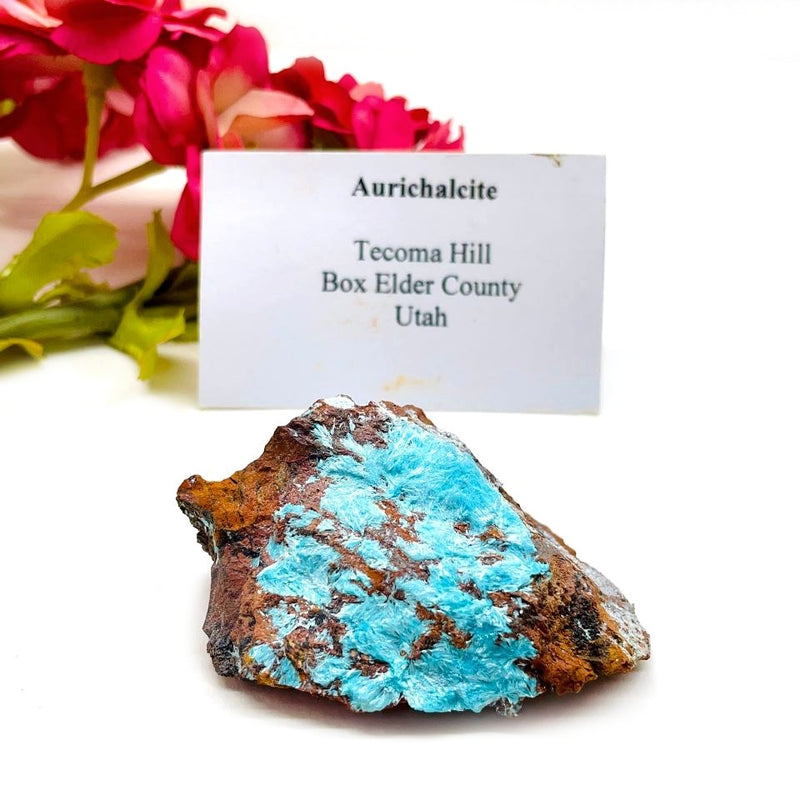 Aurichalcite Mineral Specimen (Utah, USA)