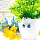 Azurite Malachite Earrings in Silver