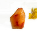 Small Carnelian Twisted Flames (Creativity & Passion)