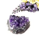 Amethyst Cluster AAA Extra Quality (Intuition and Spiritual Evolution)