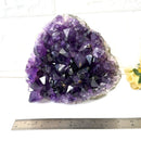 Standing Amethyst Clusters from Uruguay AAA Extra (Very dark Purple)