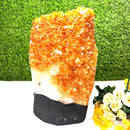 Citrine Standing Clusters AAA Extra Quality (For Career and Business)
