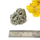 Pyrite Cluster Regular Quality (For Fame and Fortune)