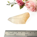 Smoky Quartz Lemurian Natural Points