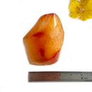 Small Carnelian Twisted Flames (Creativity & Passion)