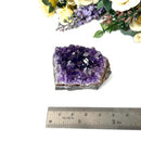 Amethyst Cluster AAA Extra Quality (Intuition and Spiritual Evolution)