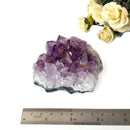 Amethyst Cluster (Spirituality and Wisdom)