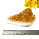 Citrine Cluster (For Career and Business)