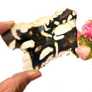 Peanut Wood Slices  (Stability)