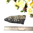 Shungite with Pyrite Rough from Brazil