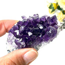 Amethyst Cluster AAA Extra Quality (Intuition and Spiritual Evolution)