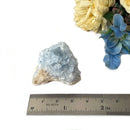 Celestite Cluster (Astral Travel and Intuition)