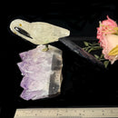 Medium Sized Crystal Parrots on Amethyst Clusters from Brazil