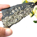 Shungite with Pyrite Rough from Brazil