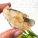 Yellow Fluorite Clusters from Morocco