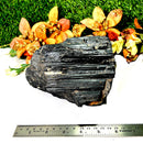Large Black Tourmaline Rough (Grounding & Protection)