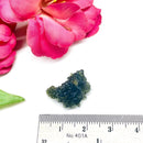 Besednice Moldavite Hedgehogs ( Extremely Rare )