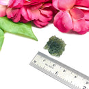 Besednice Moldavite Hedgehogs ( Extremely Rare )