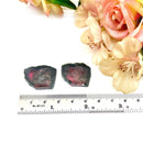 Bi-Colour Pink-Black Tourmaline Polished Slice Pair (Relationship Healing)