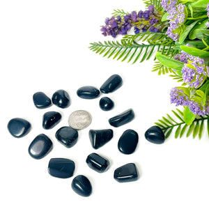 #size_x small (1 pc)