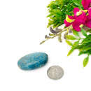 Blue Apatite Tumble (For Psychic perception)