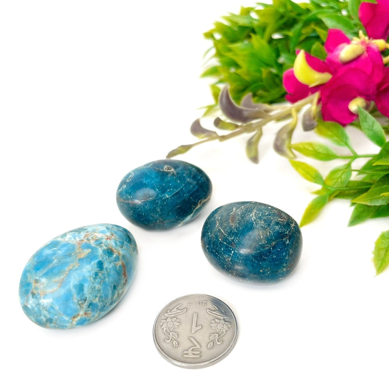 Blue Apatite Tumble (For Psychic perception)