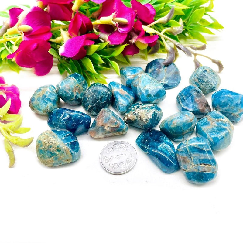 Blue Apatite Tumble (For Psychic perception)