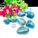 Blue Apatite Tumble (For Psychic perception)
