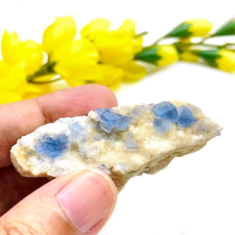 Blue Fluorite Mineral Specimen (Mexico)
