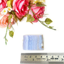 Blue Lace Agate Slices (Communication and Public Speaking)