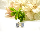 Blue Lace Agate Earrings in Silver (Calm Expression)